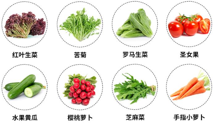 上海生鲜食材蔬菜配送服务方案